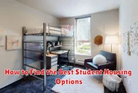 How to Find the Best Student Housing Options