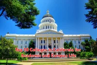 Top 10 Colleges in California for Academic and Campus Life